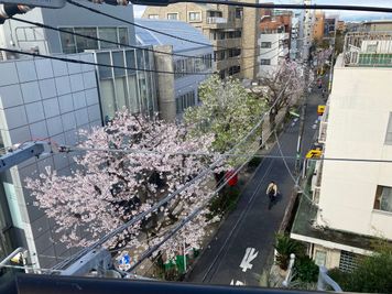 窓から花みず木通りの桜🌸が眺望できます。 - レンタルスペース・貸し会議室「としょかんのうら二子玉川」 玉川花みず木通のレンタルスペース🍃「としょかんのうら二子玉川」の室内の写真