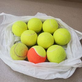 フィットネス用テニスボール - スタジオ花 松本のレンタルスペース🔸ひろびろ95㎡！🔹無料設備充実✨の設備の写真