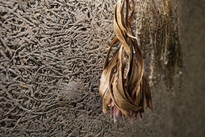 オプション多数♪ネイリストの為の半個室サロン♪ - シェアサロンRoom59仙台/美容師/アイリスト/ネイリスト/