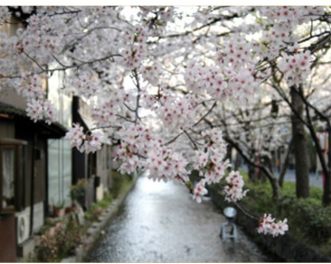 2階個室 - ピボワンボーテ