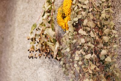 シェアサロンRoom59仙台/美容師/アイリスト/ネイリスト/ まつ毛、眉毛に最適♪ベットの半個室スペース♪の室内の写真