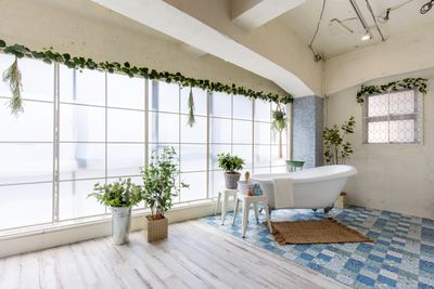 Studio Sweets box 鶯谷 【個人利用】メレンゲクッキー[多目的スタジオ]の室内の写真