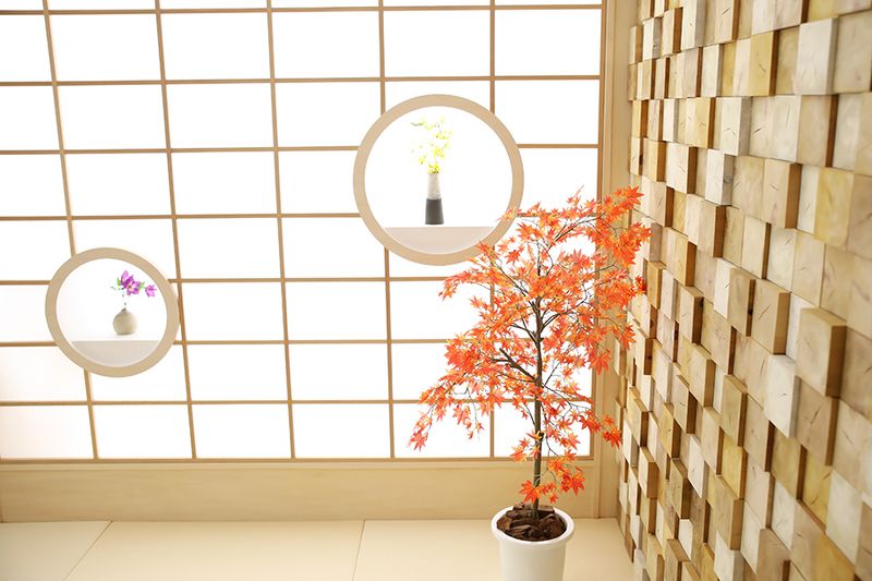 SAKURA スタジオ千葉/貸切撮影レンタルスペース - -