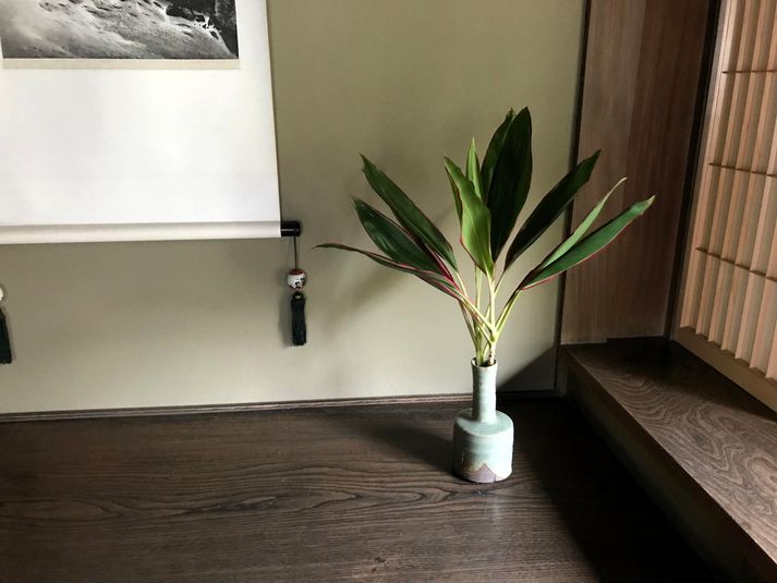 イベントスペース - カッシアツリー