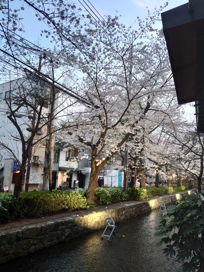 １階半個室　よもぎ蒸し付 - ピボワンボーテ