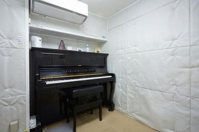 Ｂルーム：ダイキン換気機能付き最新エアコン有り - ブリアサロン【世田谷-用賀駅 歩１分】🎹ピアノ📶高速WIFI （２部屋利用）ルームC＋防音室B（ピアノ）【WIFI】の室内の写真