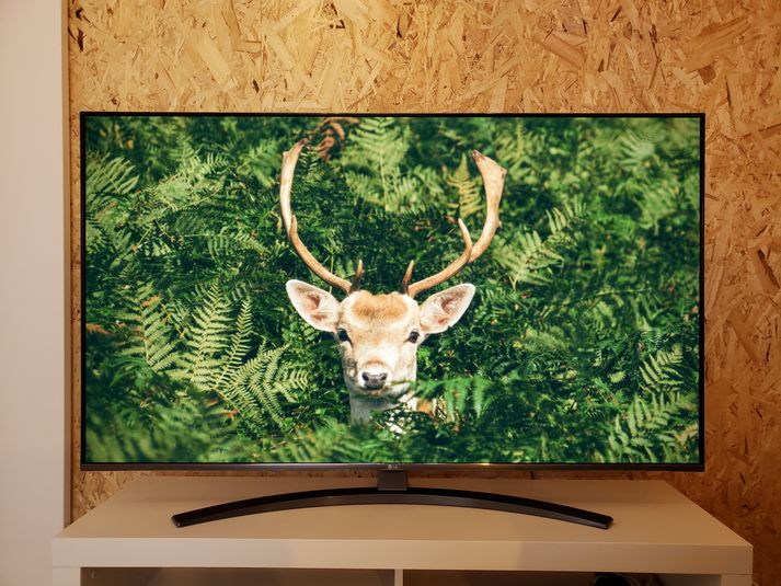 【ラパーク岸和田から徒歩3分】無料駐車場2台あり🚗✨ - ガルミンゴ岸和田店