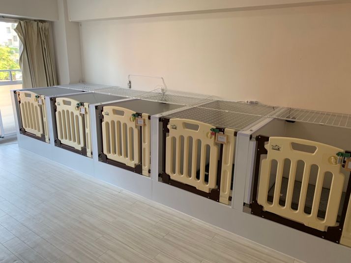 フリールーム（ペット可）			 - JAPANESQUE