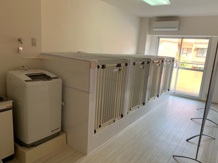 フリールーム（ペット可）			 - JAPANESQUE