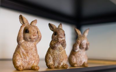 うさぎちゃん☆ - レンタルサロン&ヒーリング・クロエ横浜駅前のその他の写真