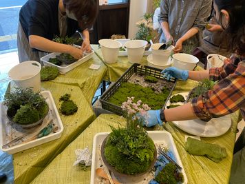 2021年9月の苔盆栽ワークショップ！ - 上町まるものがたり  レンタルスペースのその他の写真