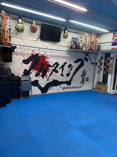 体操、空手、ヨガ、武道、筋トレその他できます - 運動スペース