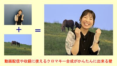 動画配信や収録に便利なクロマキー合成ができる壁があります。 - 【アズール】池袋おしゃれ貸会議室 WiFi大型モニタホワイトボードの室内の写真