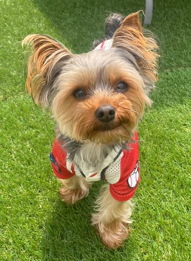 【使い方自由】持ち込み自由！パーティー　会議　ワークショップ　 - 【一棟まるごと貸切！】ResortOpenＣafeBAR３１５