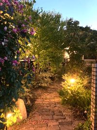 夕暮れの庭！門からアプローチを望む．．． - レンタルスペースDanceGarden モリスのDanceGarden❣ノースライトで癒しの時を❣の室内の写真