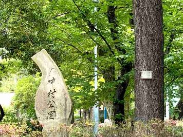 中村公園に隣接しています - 名古屋会議室 日蓮宗 太閤山 常泉寺 奥の間のその他の写真
