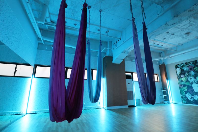 【Bスタジオ】平日午前中半額♪エアリアルヨガ・ダンス・バレエ - スタジオ&オフィス メビウス