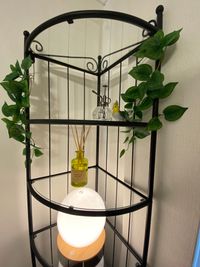 レンタルサロン「サロン・ド・アプリコット赤坂」 「赤坂駅」徒歩4分 施術接客セッション最適サロン　施術環境最適のその他の写真