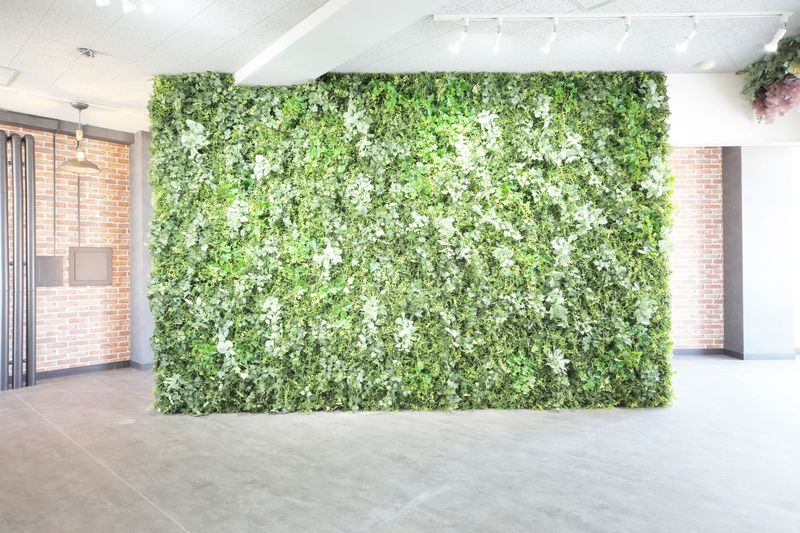 レンタル撮影スタジオ - Photo Studio Opa