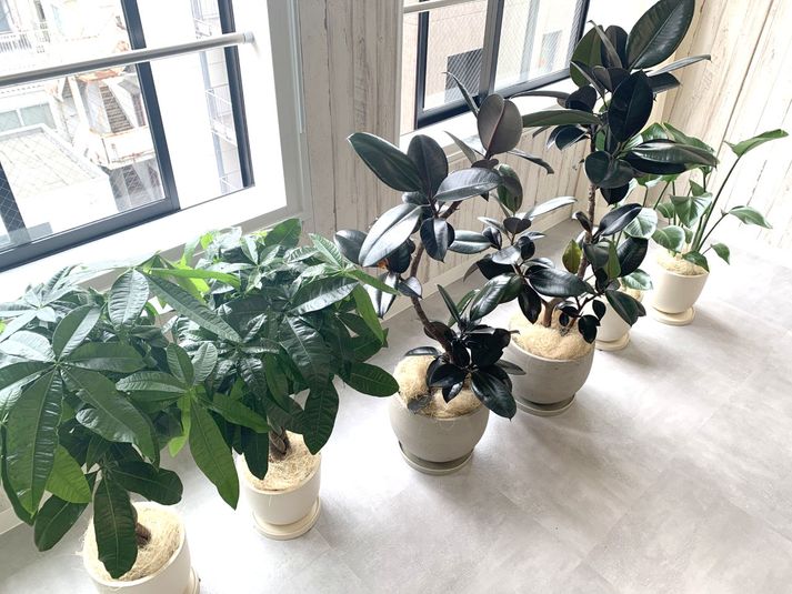 撮影も展示もできるスペース - レンタルスペースMaison7