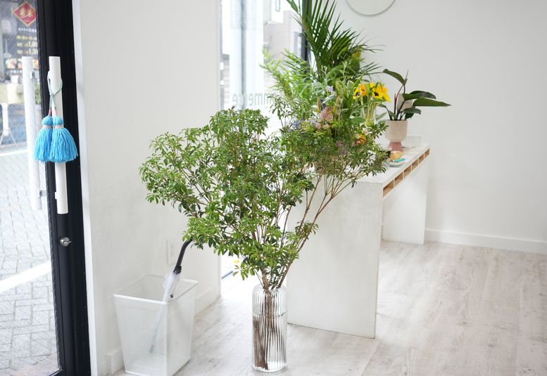 イベントスペース・フォトスタジオ　「Cスタジオ」 - フォト・ライブスタジオ『スタジオリビングルーム』