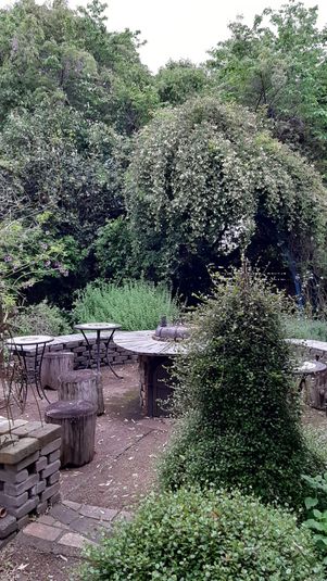 プライベートレンタルスペース・BBツリー - レンタルスペース「BBツリー」