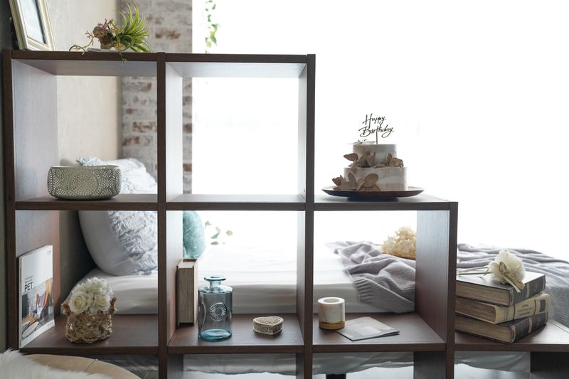 ペット撮影に特化したフォトスタジオ　STUDIO SIO - ペットOK！スタイリッシュな撮影スタジオ