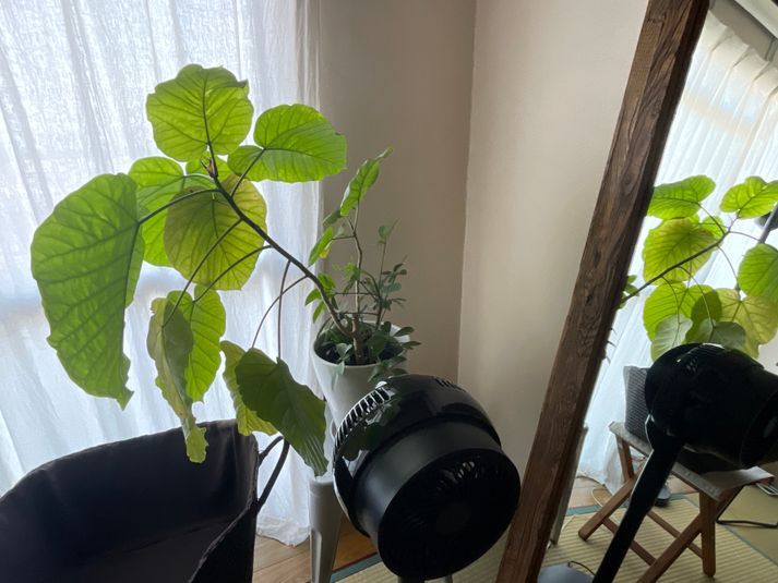 レンタルスペース - レンタルスペースWaLife岐阜