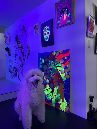 レンタルスタジオ - ＣＡＮＤＹ　ＧＹＭ