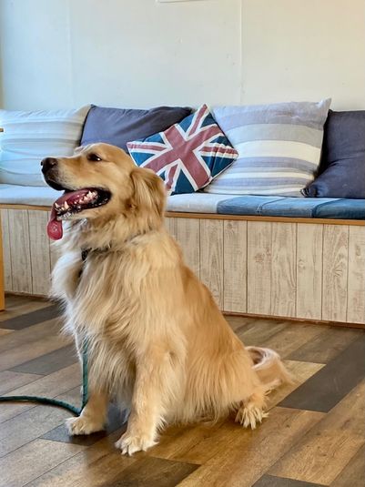 レンタルカフェ＆スペース - HIPPIES SAPPORO TONDEN