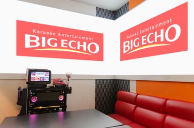 カラオケビッグエコー　品川港南口駅前店 《2～10名用》パーティルーム（アルコール飲み放題※生ビール付）の室内の写真