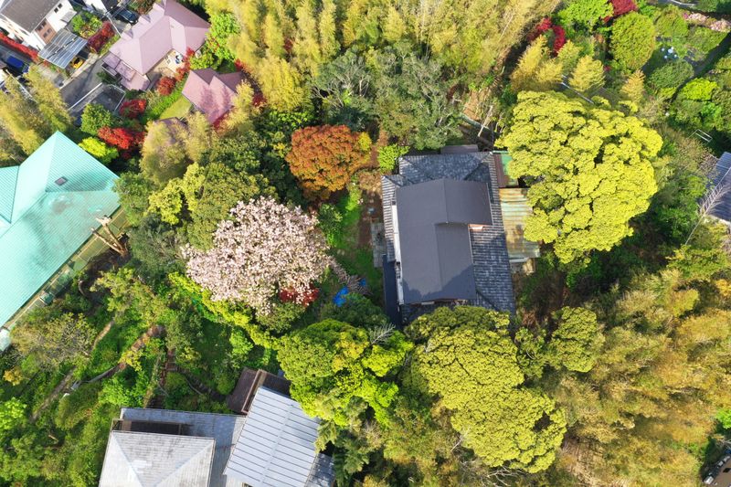 竹林・庭つき古民家撮影ハウススタジオ - 鎌倉古民家スタジオ 縁樹庵