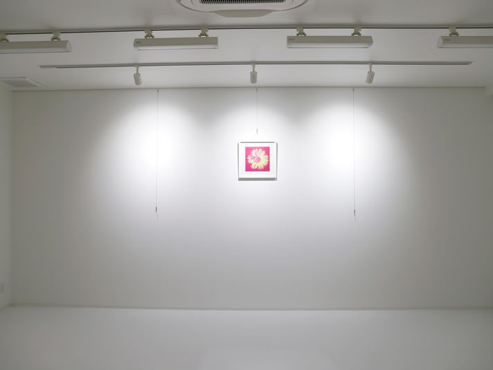 窓のある白ホリ風スタジオ。スポットライト、ピクチャーレール完備。 - STUDIO　UNFIL