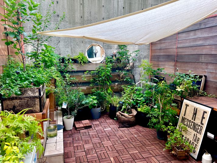 天井高4mスタイルある空間 - 天井高４m以上 スタイルある空間