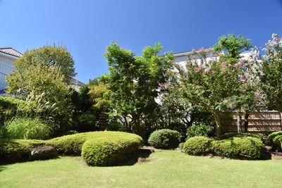 庭 - スタジオピア 7宮前 撮影スタジオの室内の写真