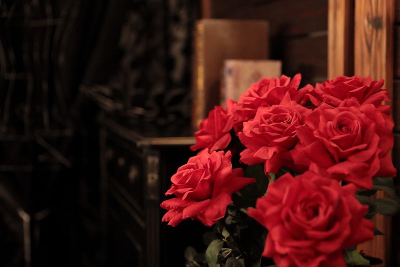 ブラックゴシックルーム - studio Berry