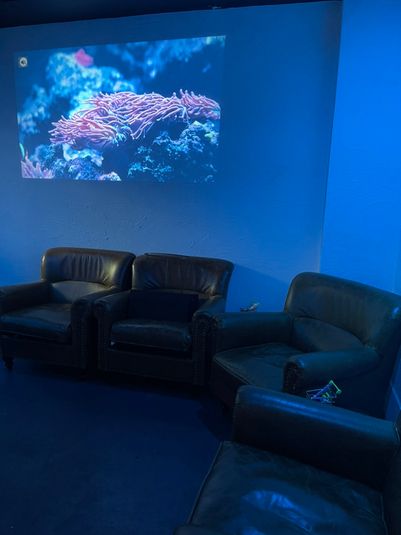 多目的シーシャバー - チルノカミ