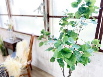 スタジオファシル 【セルフ撮影スペース】スタジオファシルの室内の写真