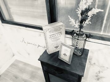 スタジオファシル 【セルフ撮影スペース】スタジオファシルの室内の写真