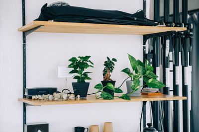 可愛いミニ植物たち - atelier obscura 01 馬込 atelier obscura 01 【 馬込 】の室内の写真