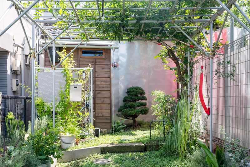 はるのや - はるのや