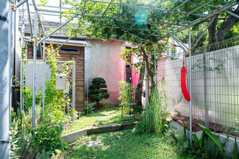 はるのや - はるのや