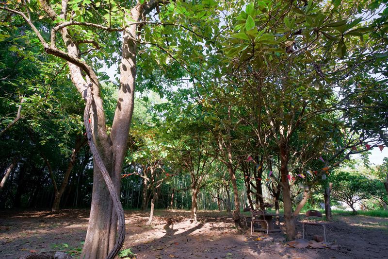 森の中の貸し切りイベントスペース - 7世代CAMP