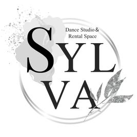 スタジオ　シルバー ダンススタジオ&レンタルスペース【シルバー】の室内の写真