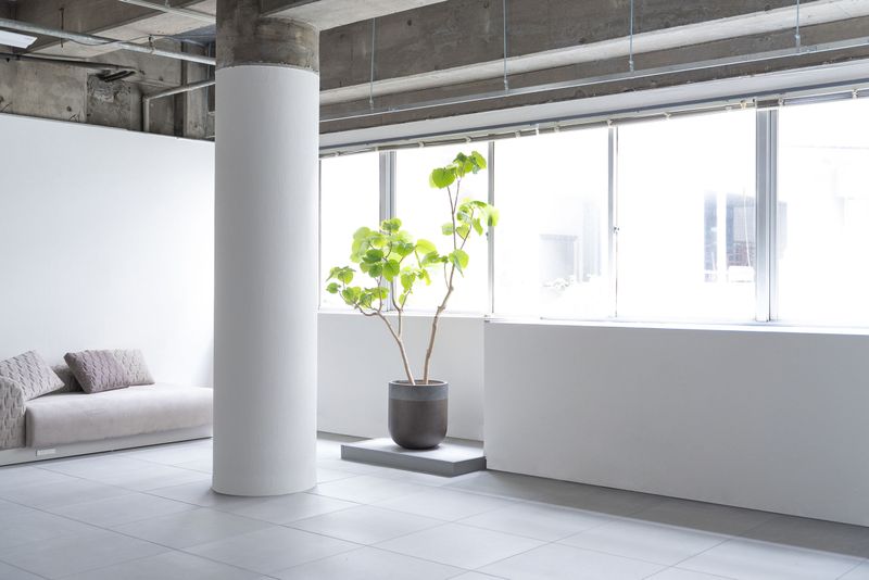 co-space AKASAKA - co-space AKASAKA