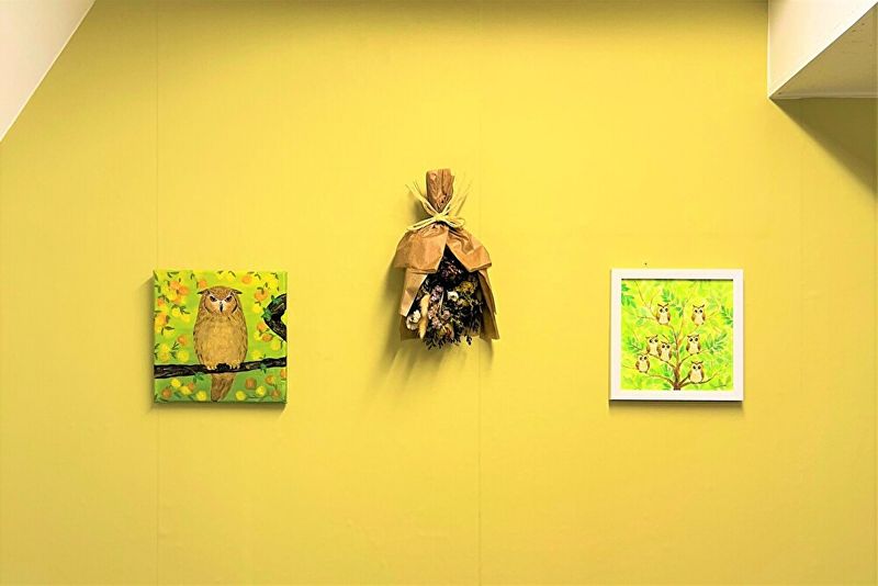 ふくろうのラッキースペース「スペースオウルⅡ」 - スペースオウルⅡ