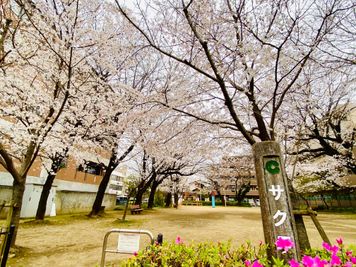 スタジオの前には桜の名所、サクラ公園があります。 - レンタルスタジオベリー味噌天神店 ダンススタジオの外観の写真
