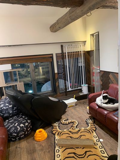 黒猫OFFICE - 黒猫OFFICE