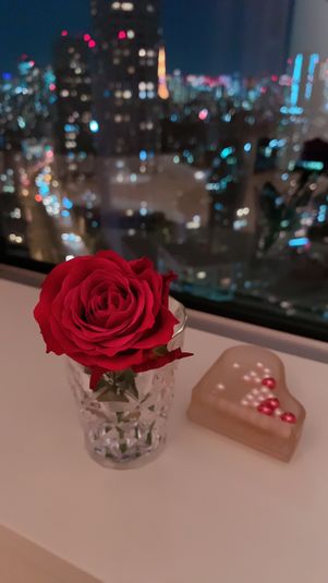 Piano Salon APOLLO - Piano Salon APOLLO