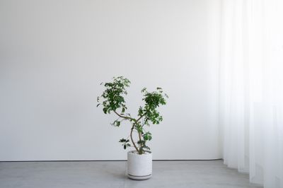 Blend Living 【Blend Living】シンプルなデザインの自然光スタジオの設備の写真